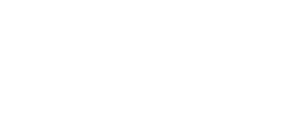 BASF The Chemical Company