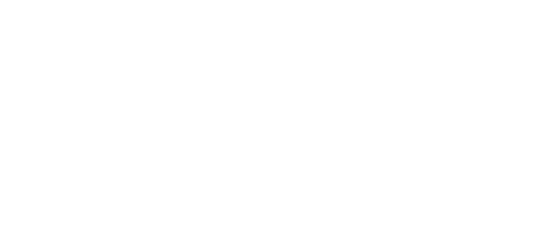 ebm papst